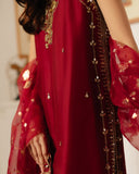 Gulnaar-Signature festive Edit Alizay Saad