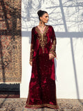 Shanaya Signature festive Velvet Alizay Saad