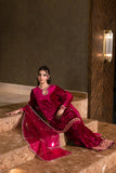 Arrash Velvet luxe by Alizay Saad - Alizay Saad